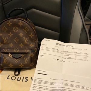 Louis Vuitton Palm Springs mini